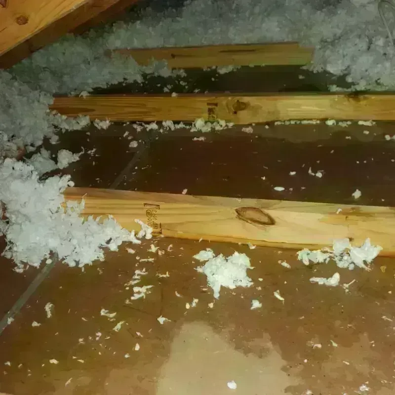 Attic Water Damage in Kingsport, TN